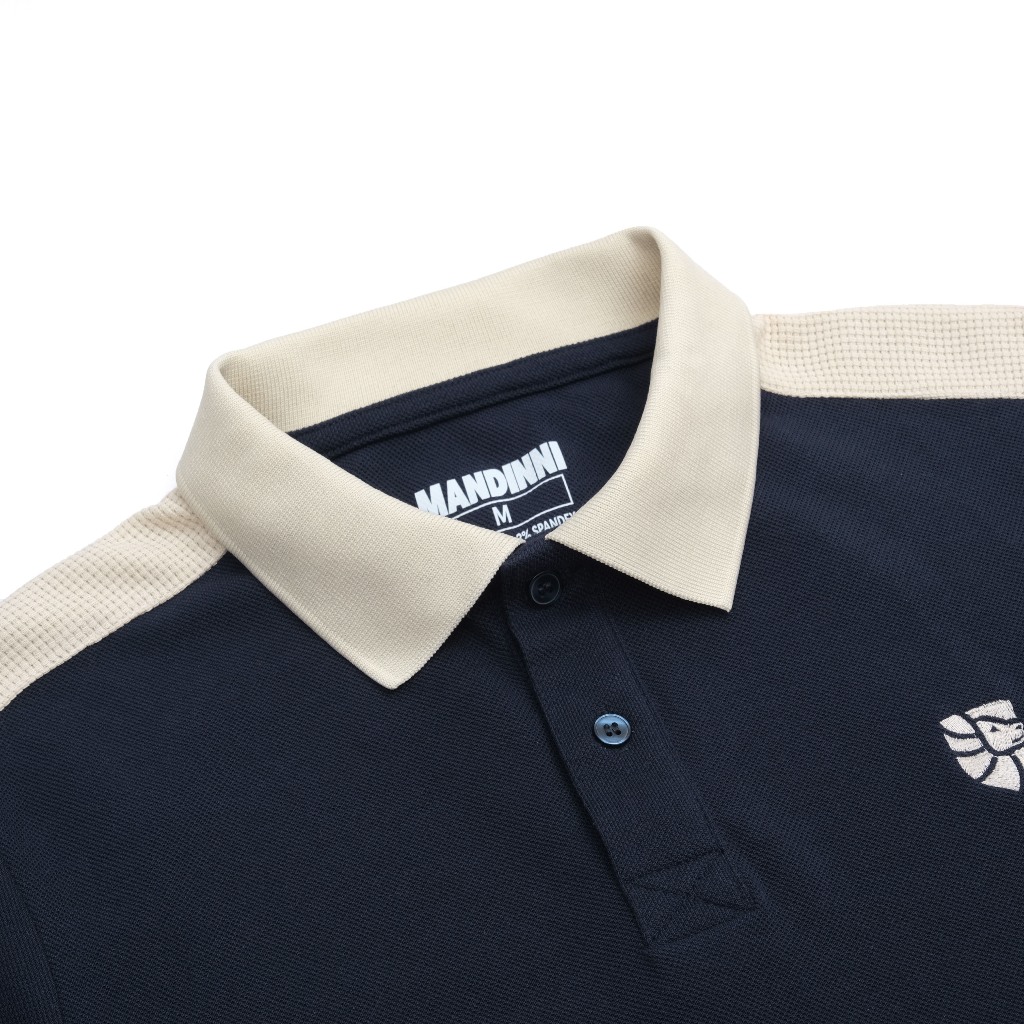 Áo thun polo nam Raplion vải cotton Pique cao cấp, chuẩn form, năng động, thanh lịch - MANDINNI