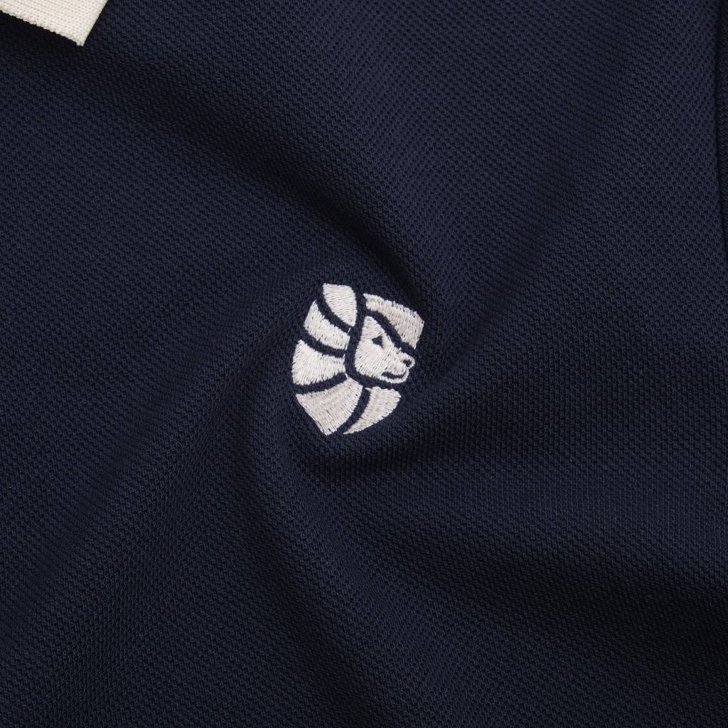 Áo thun polo nam Raplion vải cotton Pique cao cấp, chuẩn form, năng động, thanh lịch - MANDINNI