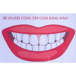 Học liệu mô hình hàm răng