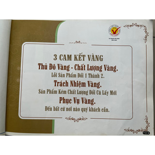 Ba Lô / Cặp Sách Thủ Đô Vàng Siêu Bền BL 252 và BL 257