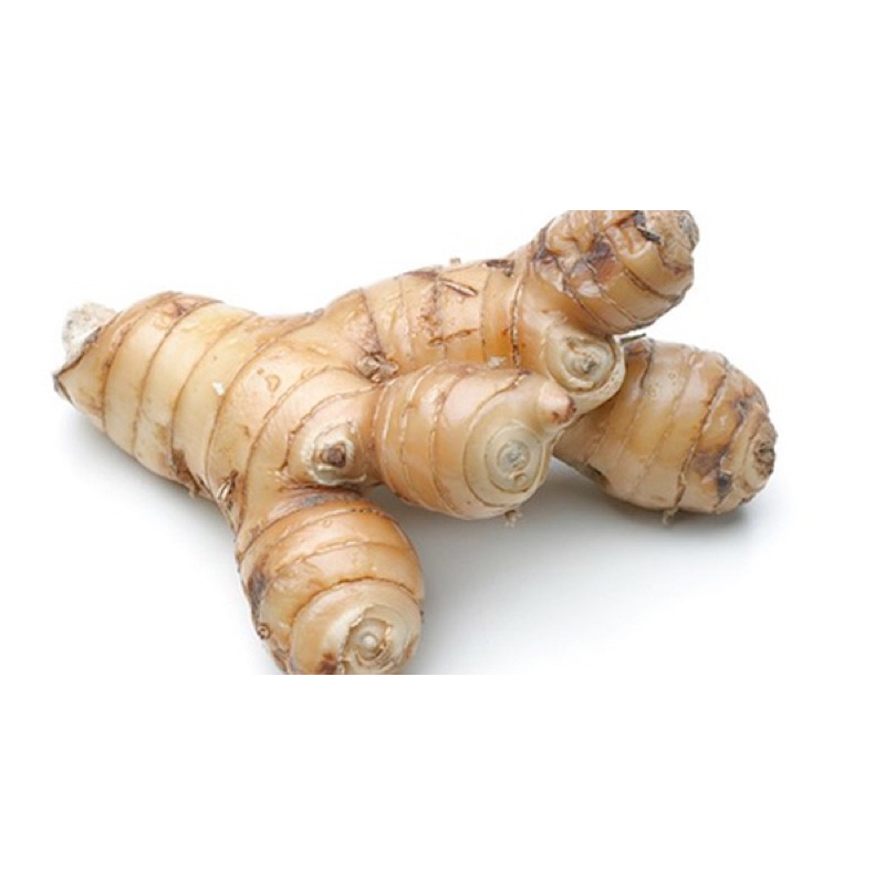 1KG CỦ RIỀNG TƯƠI