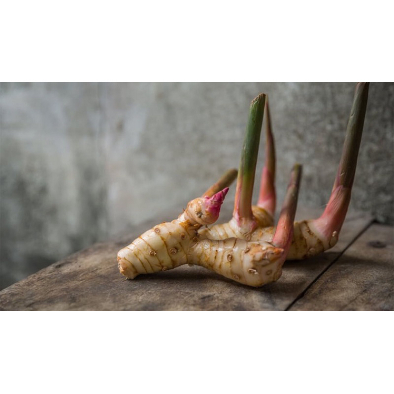 1KG CỦ RIỀNG TƯƠI