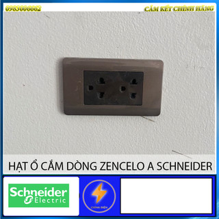 Hạt ổ cắm zencelo a chữ nhật schneider