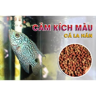 Cám La Hán Đ&N ( bịch 100gr ) Giúp cá lên màu