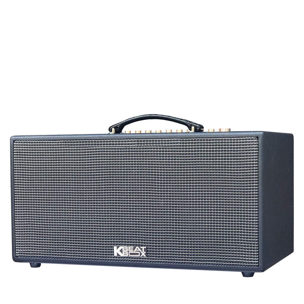 Dàn âm thanh di động xách tay ACNOS CS447R