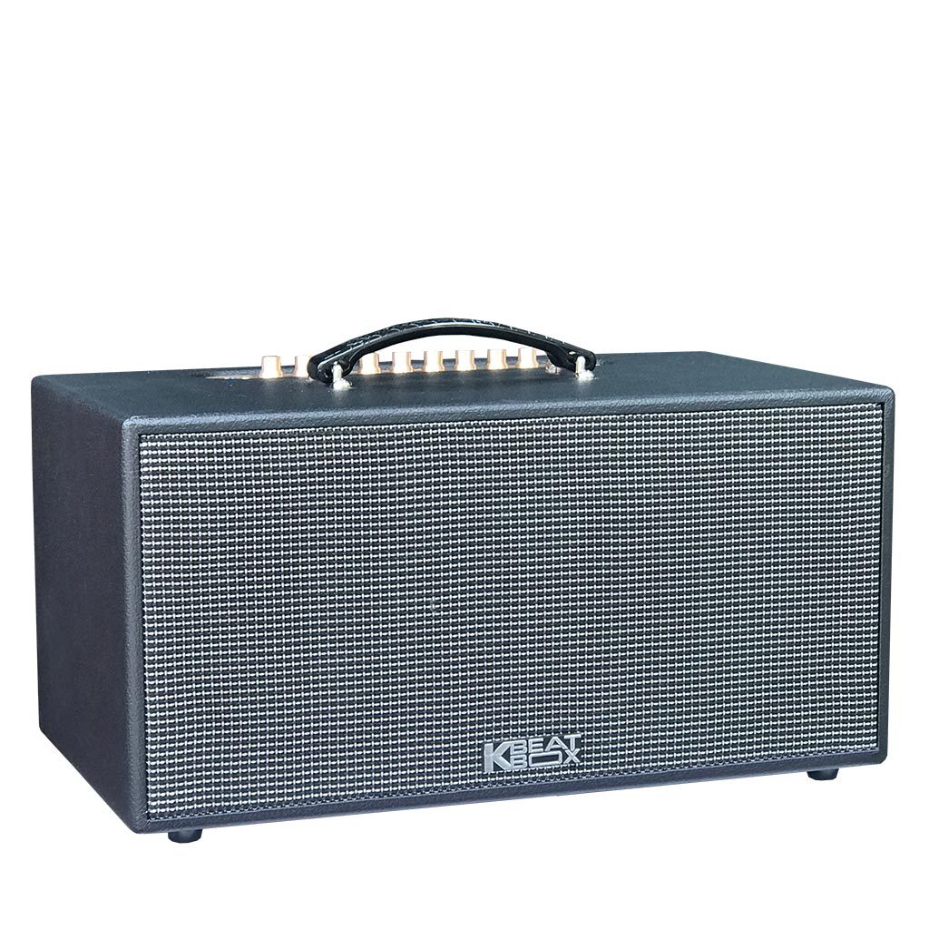 Dàn âm thanh di động xách tay ACNOS CS447R