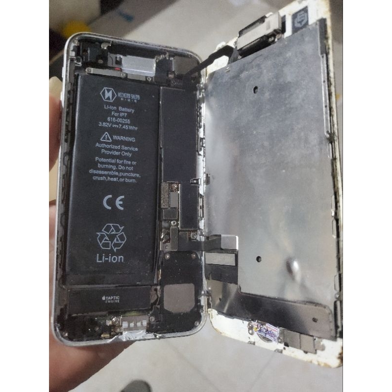 Xác như hinh 7 thường