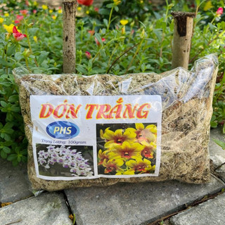Giá thể trồng lan , dớn trắng, rêu rừng, than trồng lan, xơ dừa, vỏ thông, đất nung
