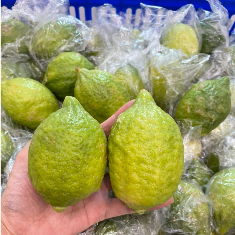 Chanh Xanh  Quảng Đông Làm Trà Chanh Giã Tay 1kg