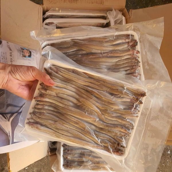 cá sụn sịn - cá sụn sịn siêu ngon khay 500gr