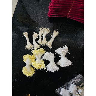 Nhuỵ hoa bó nhỏ