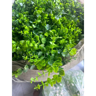 100gram cỏ táo tim dài trang trí hoa