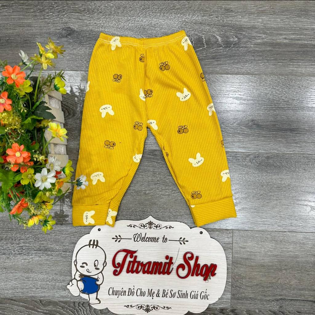 Quần dài len tăm hình gấu cho bé trai, bé gái