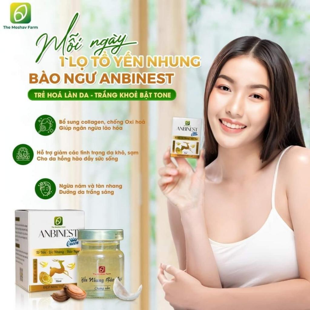 Tổ Yến Nhung Hươu Bào Ngư Anbinest Queen, Yến nhung chưng Bào Ngư Collagen Đường Phèn The Moshav Farm