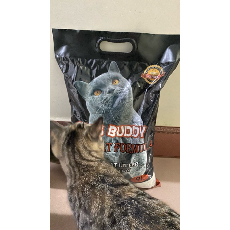 Cát cho mèo buddy 9l