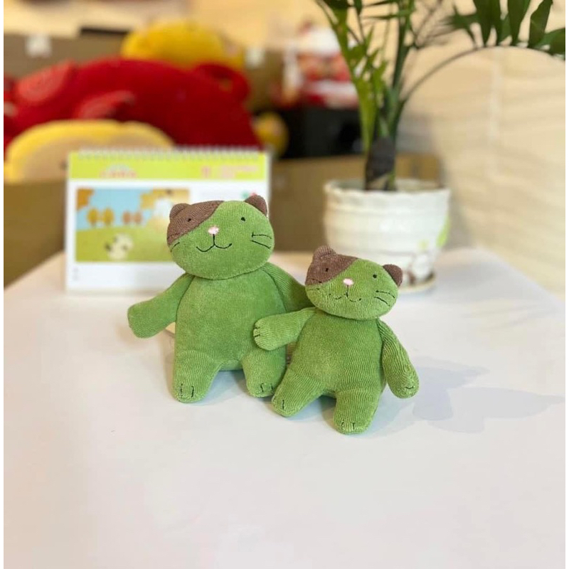 🌺🌺🌺🌺Mèo ngồi HIKOSEN CARA