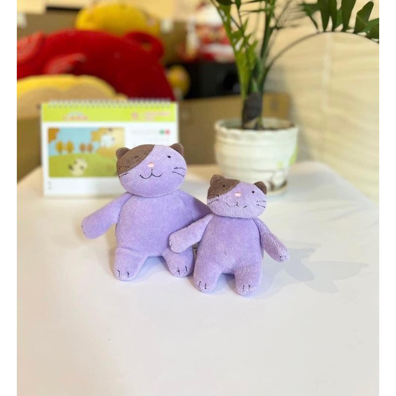 🌺🌺🌺🌺Mèo ngồi HIKOSEN CARA