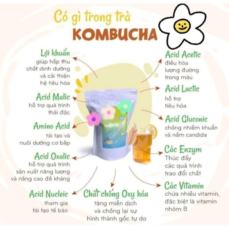 Trà lên men Kombucha vị trái cây 1 Lít/500ml - chứa lợi khuẩn,men vi sinh