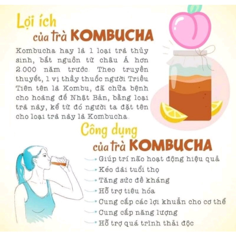 Trà lên men Kombucha vị trái cây 1 Lít/500ml - chứa lợi khuẩn,men vi sinh