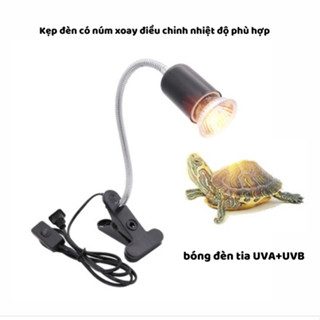 Đèn và kẹp đèn sưởi cho rùa và bò sát, tia UVA UVB, Đèn sưởi cho thú cưng