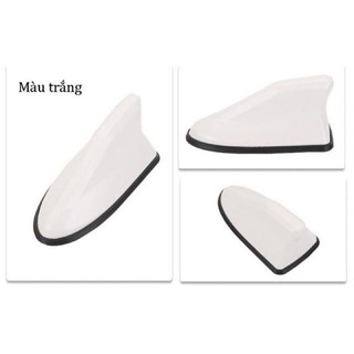 Ăng ten vây cá mập