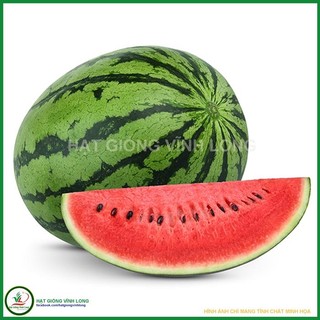 Hạt giống Dưa hấu F1 Thành Long - 15 hạt (gói chi.a nhỏ)