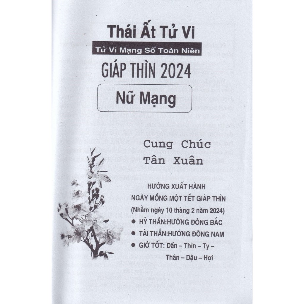Sách - Combo Thái Ất Tử Vi - Tử Vi Mạng Số Toàn Niên Giáp Thìn 2024
