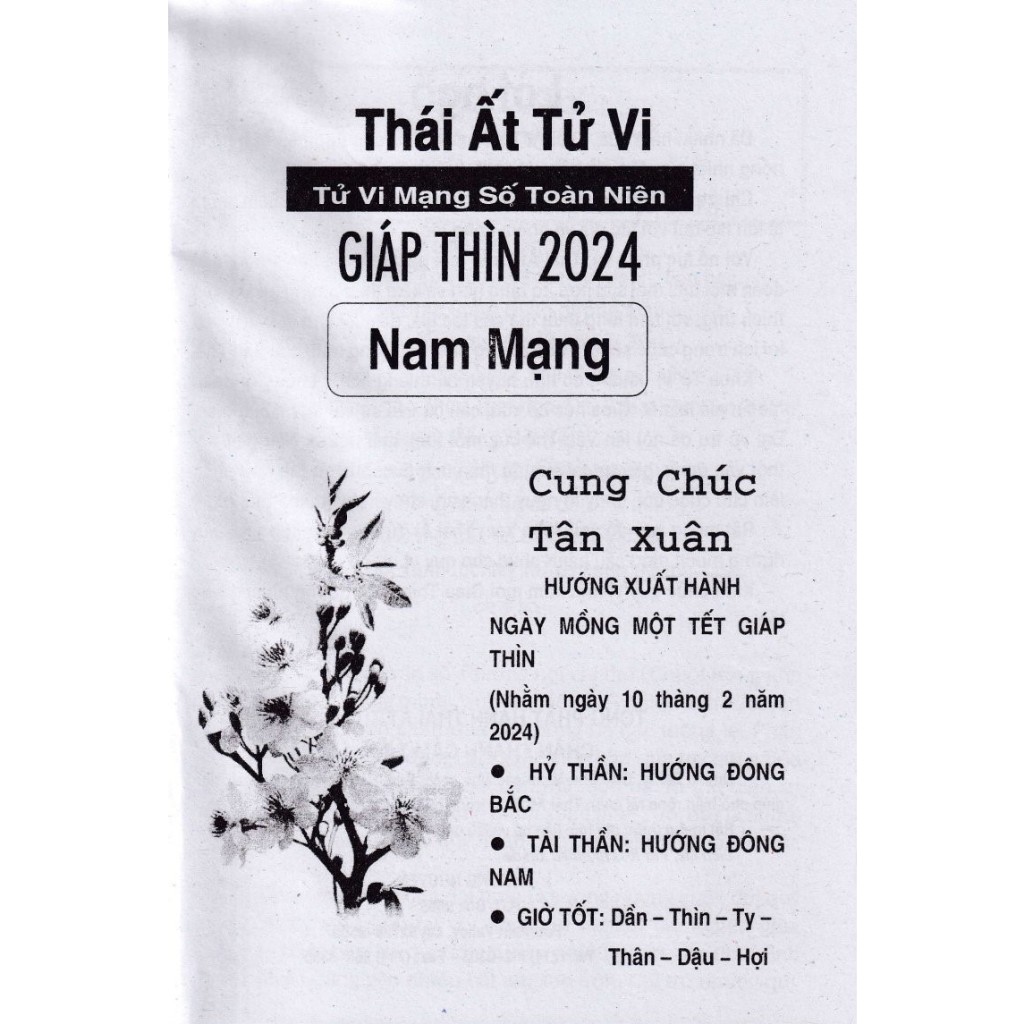 Sách - Combo Thái Ất Tử Vi - Tử Vi Mạng Số Toàn Niên Giáp Thìn 2024