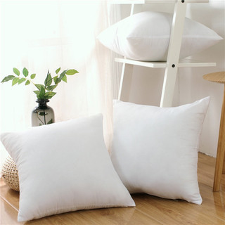 Ruột Gối tựa lưng ruột gối tựa sofa ruột gối vuông trang trí ruột gối decor 45x45 căng đẹp TOTORO HOUSE