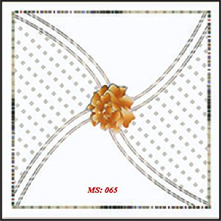 Tấm trần nhựa PVC Hùng Hưng 60 x 60cm  nhiều mẫu mã khác nhau, có tính phí vận chuyển.