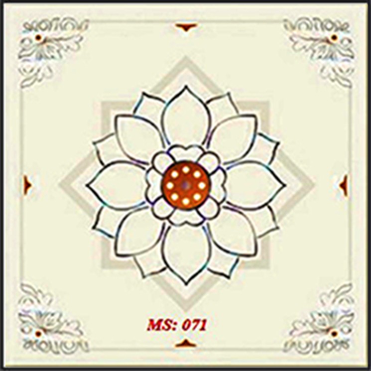 Tấm trần nhựa PVC Hùng Hưng 60 x 60cm  nhiều mẫu mã khác nhau, có tính phí vận chuyển.