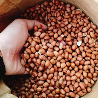 1 KG ĐẬU PHỘNG SỐNG ( LẠC SỐNG )