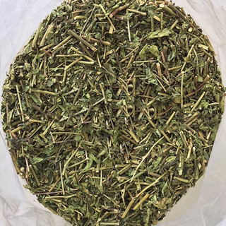 Cây xương khỉ 500g - 1kg