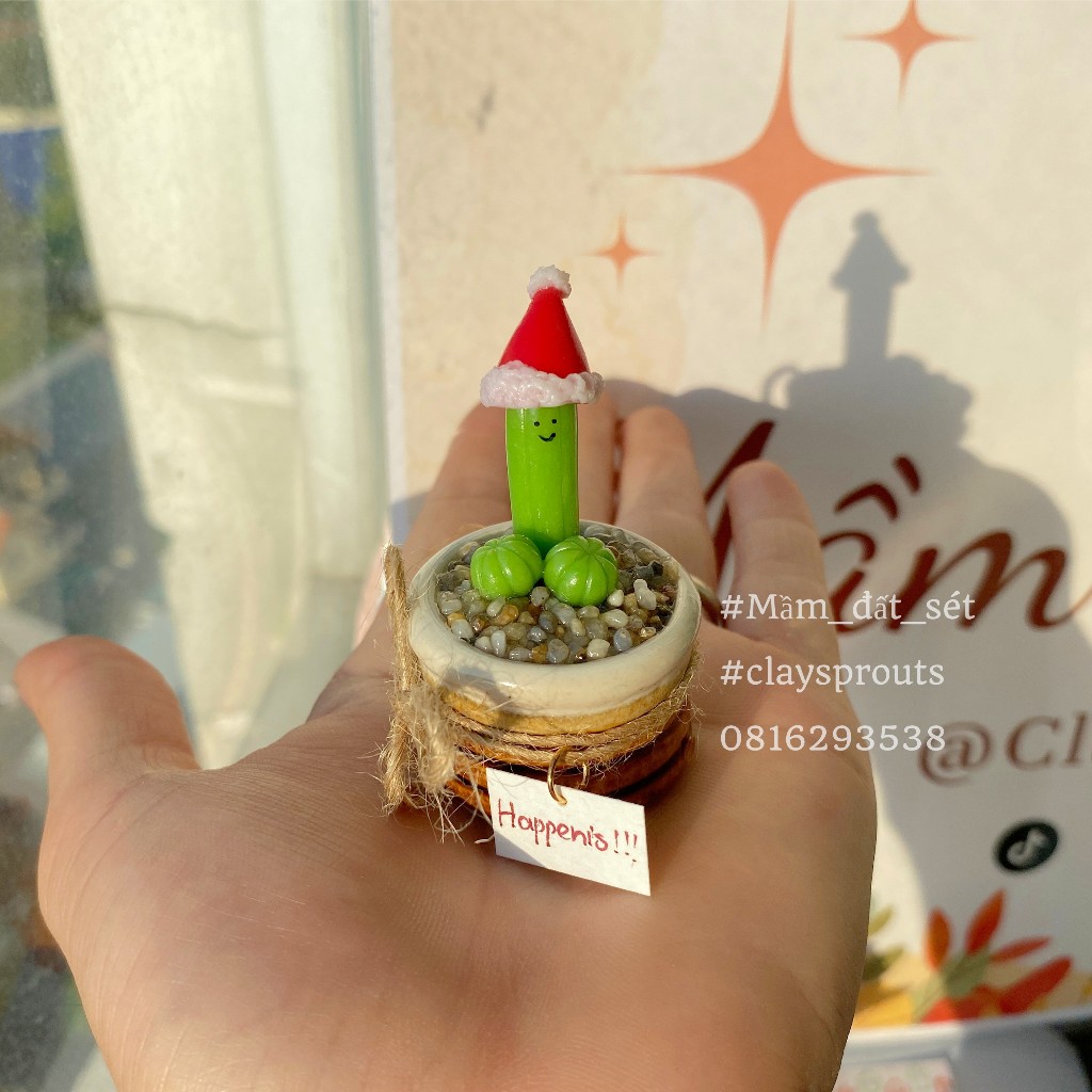 Quà giáng sinh - Xương rồng tinh nghịch đội mũ giáng sinh - New design - 11/2023