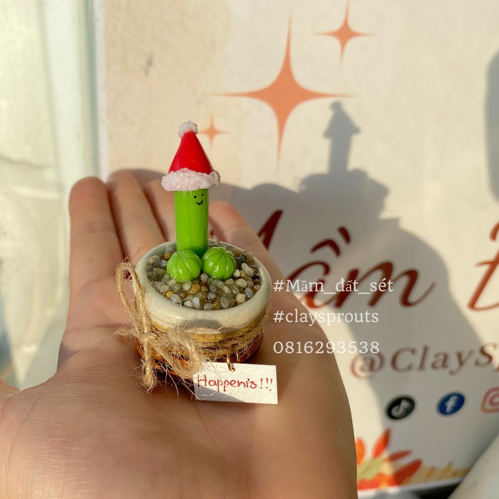 Quà giáng sinh - Xương rồng tinh nghịch đội mũ giáng sinh - New design - 11/2023