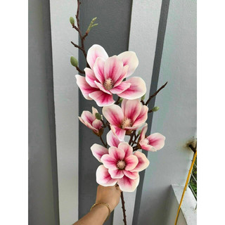 Cành mộc lan cao su cao cấp