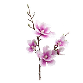 Cành mộc lan cao su cao cấp