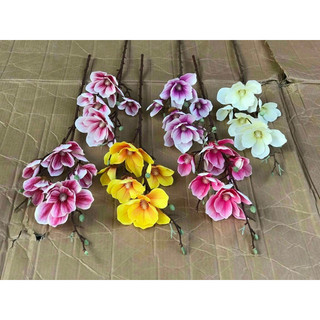 Cành mộc lan cao su cao cấp