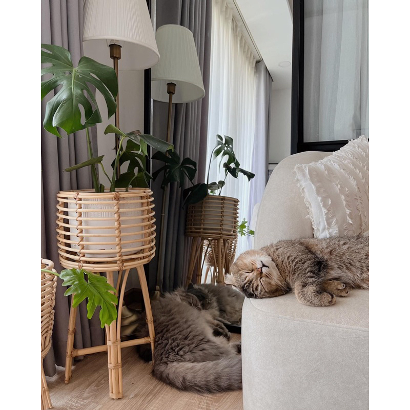 Đôn mây/ kệ chậu mây cao cấp làm thủ công phù hợp trang trí cho homestay, phòng khách, phòng ngủ, quán cf, cửa hàng