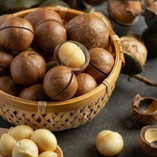 Macca vỏ nứt size đại tuyển chọn zendafood hộp 500gram