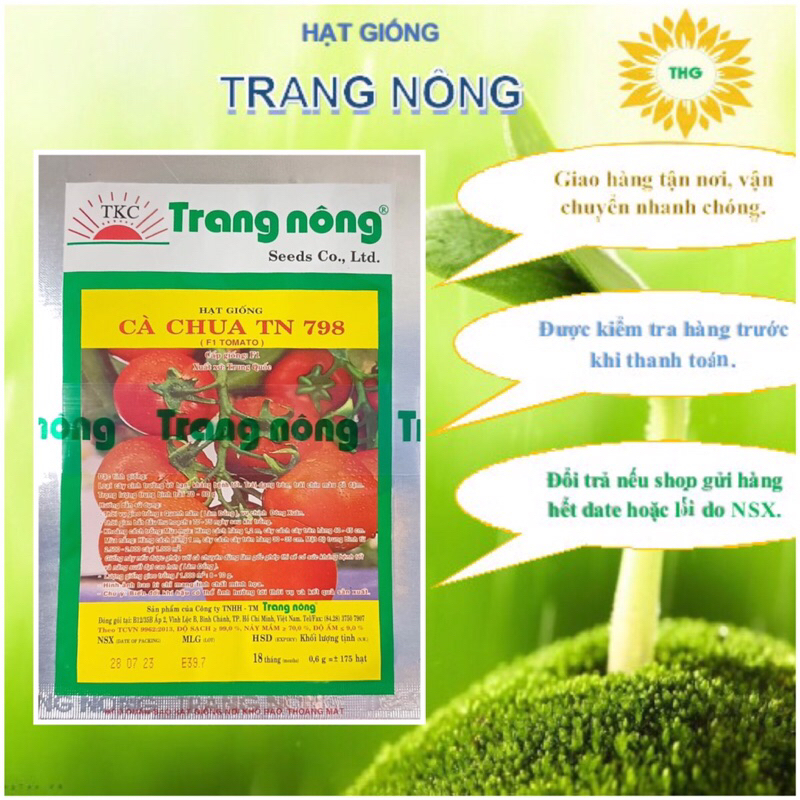 Gần 200 hạt giống cà chua vô hạn Trang Nông