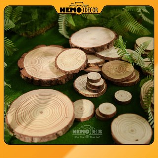 Khoanh gỗ, lát gỗ tự nhiên nhiều size - nemo decor - phụ kiện trang trí, decor chụp ảnh, diy, handmade