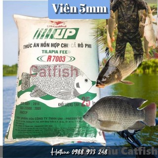 Cám cá UP dành cá Rô phi, diêu hồng, lươn và làm Mồi câu