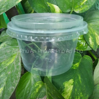 Hộp đựng cháo chè rau câu 360ml 450ml 600ml lynhuaanphu