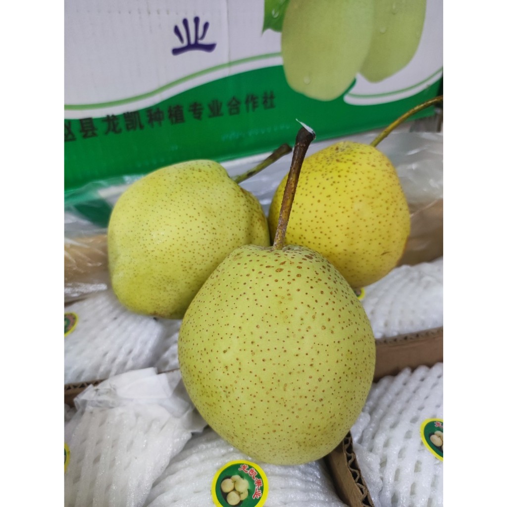 combo 2kg Lê Đá giòn ngọt