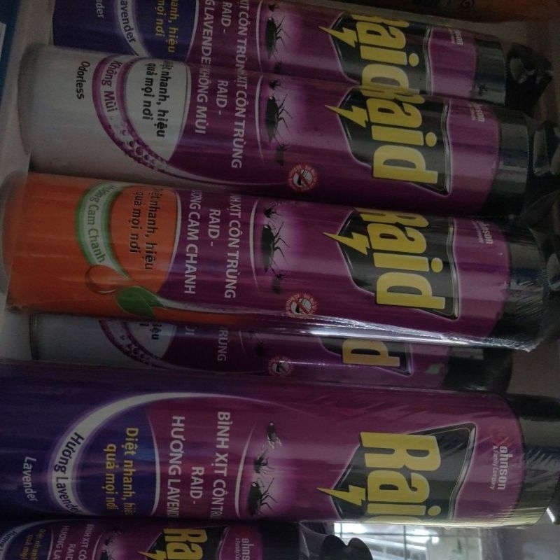 Bình xịt côn trùng Raid