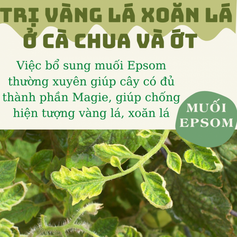 Muối EPSOM SALT 500gr -Green City