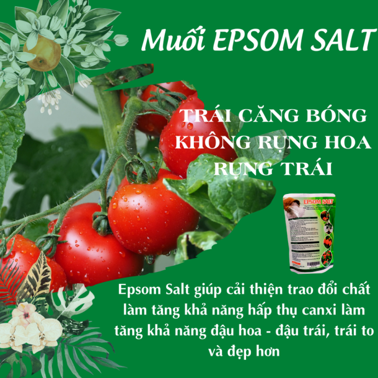 Muối EPSOM SALT 500gr -Green City