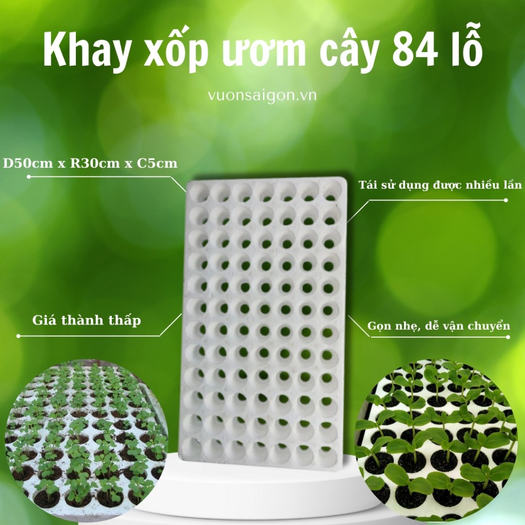 Combo 2 Khay xốp ươm cây 84 lỗ, ươm hạt thoáng khí, rễ cây phát triển đẹp, vỉ xốp ươm hạt nhẹ bền (Vườn Sài Gòn )