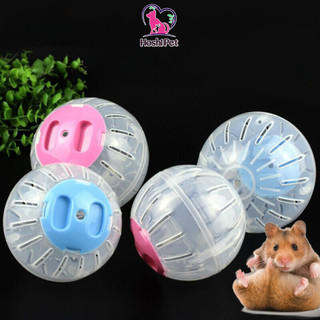 Bóng chạy cho hamster size 12cm Hoshi Pet - Đồ chơi banh chạy nhỏ chuột hamster